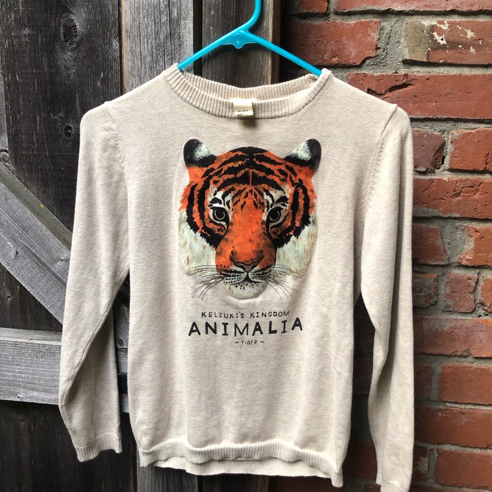 H&M Kids Tiger Sweater Size 8-10